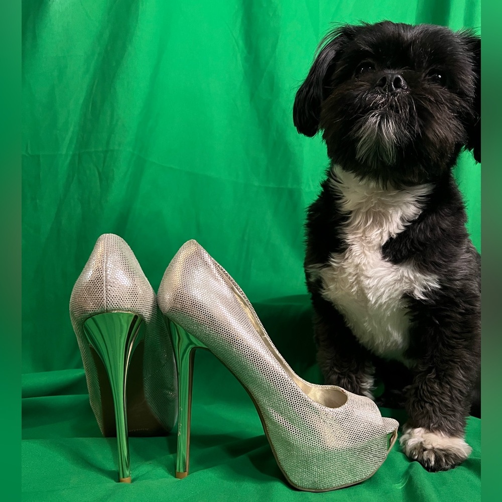 Pup child not for sale. Golden stilettos.
